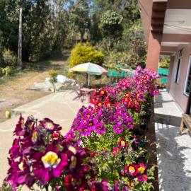 Elves Homestay，位于Rhenok的酒店