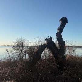 Apartment am Chiemsee nähe Chieming Arlaching Ising Seebruck，位于希明格的酒店