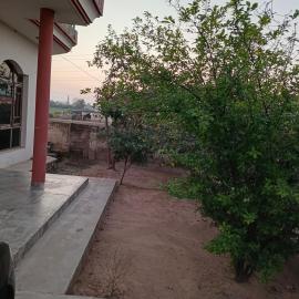 Padda Farm house，位于伯蒂亚拉的酒店