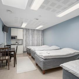 Jääskän Loma Hostelli Antin tupa, Tetrisnurkka