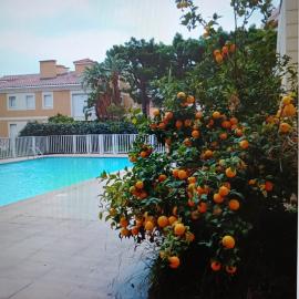 Proche de Monaco appartement devant piscine