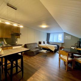 Studio Apartment Göschenen，位于格舍嫩的酒店