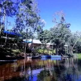 Amazon Bromelia Lodge & Expeditions，位于伊基托斯的酒店