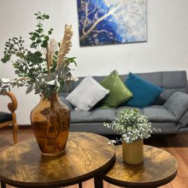 Acogedor y céntrico Departamento，位于莱昂的酒店
