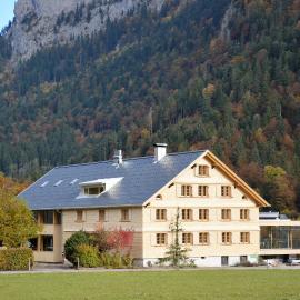 Hotel Tannahof，位于布雷根茨沃尔德地区奥的酒店
