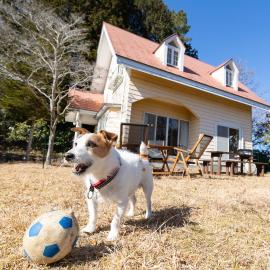 KOMOREBI HOUSE Izu-Kogen