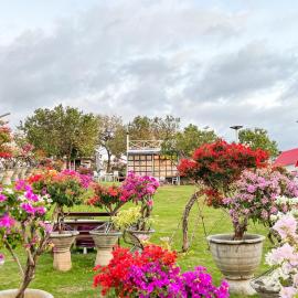 Casa de Myra，位于Palayan City的酒店