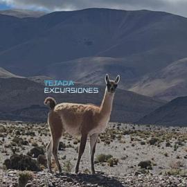 HOTEL y EXCURSIONES TEJADA,位于菲安巴拉的酒店