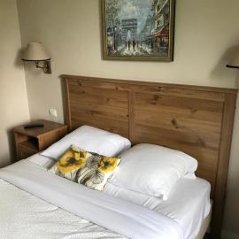 LOGIS Hôtel & Restaurant - Au Bord du Lac,位于圣雷米·莱谢夫勒斯的酒店