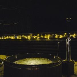 Forrest，位于Strizhevka的酒店