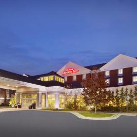 Hilton Garden Inn Detroit/Novi，位于诺维的酒店