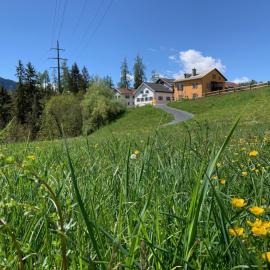 Waldheim Laax Pension，位于莱克斯的酒店