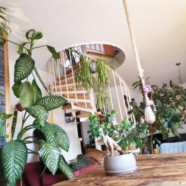 green maisonette with sauna and balcony, fully equipped