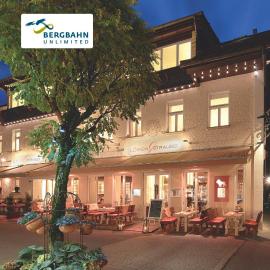 Alpin Lifestyle Hotel Löwen & Strauss，位于奥伯斯特多夫的酒店