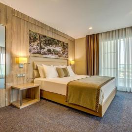 KAYNESİA HOTELS SPA & WELNESs，位于马尼萨的酒店