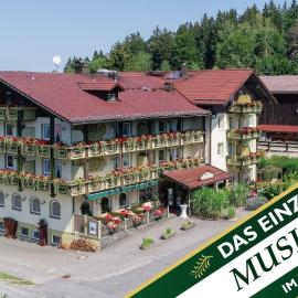 Musikhotel zum singenden Musikantenwirt