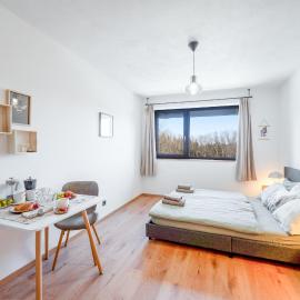 Studio Arnoštka，位于温佩尔克的酒店