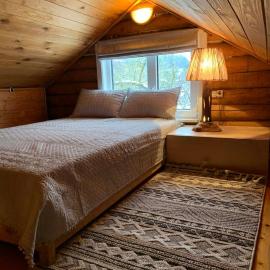 Cozy house with sauna and a fireplace，位于维尔纽斯的酒店