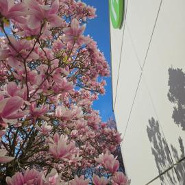 Campanile Orléans Ouest ~ La Chapelle-St-Mesmin，位于拉沙佩勒圣梅曼的酒店