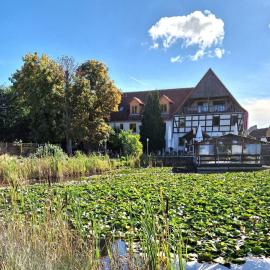 Hotel Gröbern am See，位于Gröbern的酒店