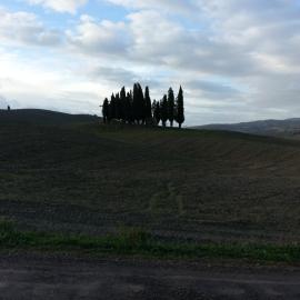 Passaggio in Val d' Orcia，位于Torrenieri的酒店
