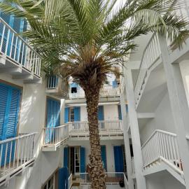 Surf House Casa Vehla