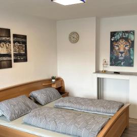 Ferienwohnung Safran 2，位于孔茨的酒店