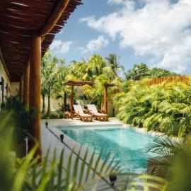 Shankara Holbox