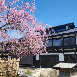 Onsen and Garden Nana，位于金泽的酒店