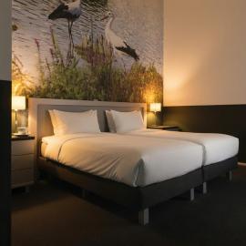 B&B In de Kathoek，位于布洛克宰尔的酒店