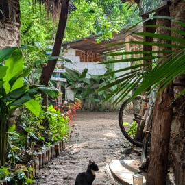 Backyard Eco Bungalows Moshi，位于莫希的酒店