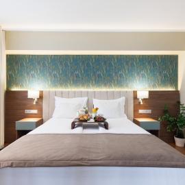 Hotel Fenyõ Conference & Spa,位于密古雷休治的酒店