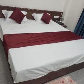 Hotel Kunj Palace,位于Habibnagar的酒店