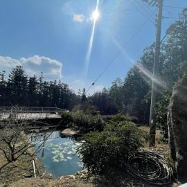 Tanapavana閒雲居，位于阿里山的酒店
