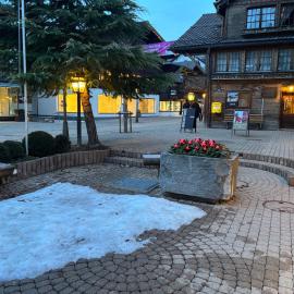 Le Vieux Chalet，位于格施塔德的酒店
