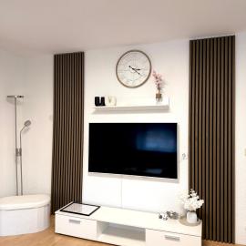 Ferienwohnung LAZ am Dreiländereck，位于巴特塞京根的酒店