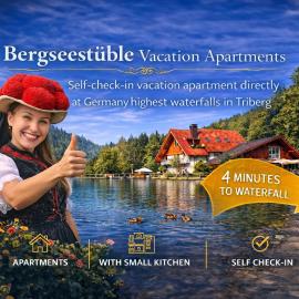 Self-check-in Ferienwohnungen & Apartments am Bergsee，位于特里贝格的酒店