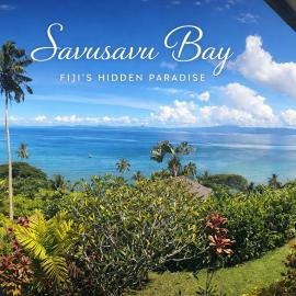 Luxury Ocean View Villa, Savusavu Bay, Blue Bayou Bure with Starlink，位于萨武萨武的酒店