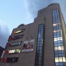 Ichikawa Grand Hotel，位于市川市的酒店