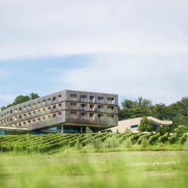 LOISIUM Wine & Spa Hotel Südsteiermark，位于埃伦豪森的酒店