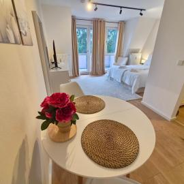 Radebeul Charmantes Studio mit Küche und Balkon，位于拉德博伊尔的酒店