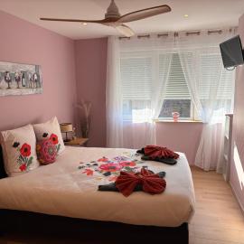 Gîte Vignoble avec jardin proximité Europa-Park，位于Diebolsheim的酒店