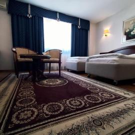 Hotel Vila Ariston，位于奥西耶克的酒店