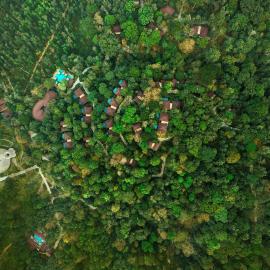 The Leela Coorg Forest Sanctuary，位于马迪凯里的酒店