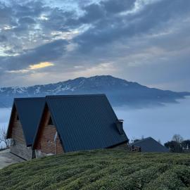 Cela Zeni Suit Bungalov