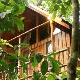 Bayrams Tree Houses，位于奥林波斯的酒店