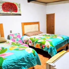 CABAÑA tipo habitación con PALAPA y Asador Planta Alta en Zacatlán，位于萨卡特兰的酒店