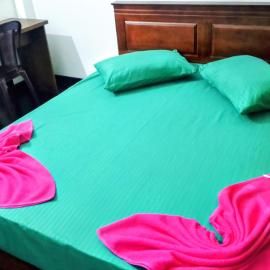 Orugodawaththa Guest House Colombo，位于科伦坡的酒店