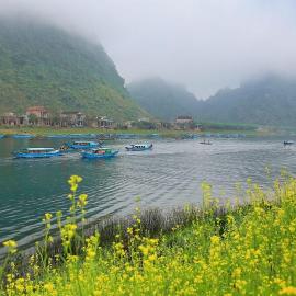 Family homestay,位于Bố Trạch的酒店