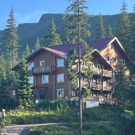 Alpin Eco Chalet & Wellness，位于德拉格布拉特的酒店